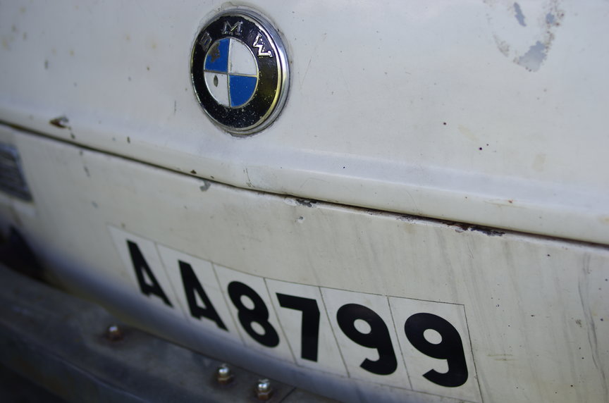 closeup license plate and BMW logo